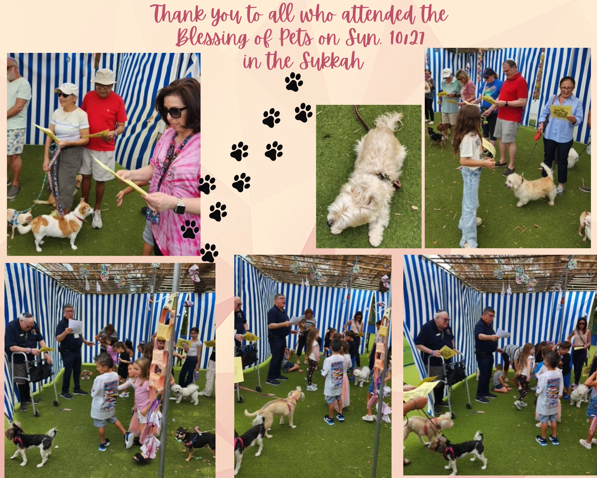 Blessing Of Pets 2024