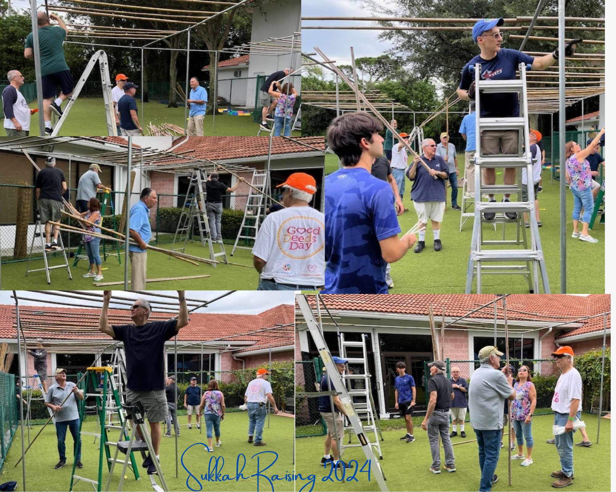 Sukkah Raising 2024